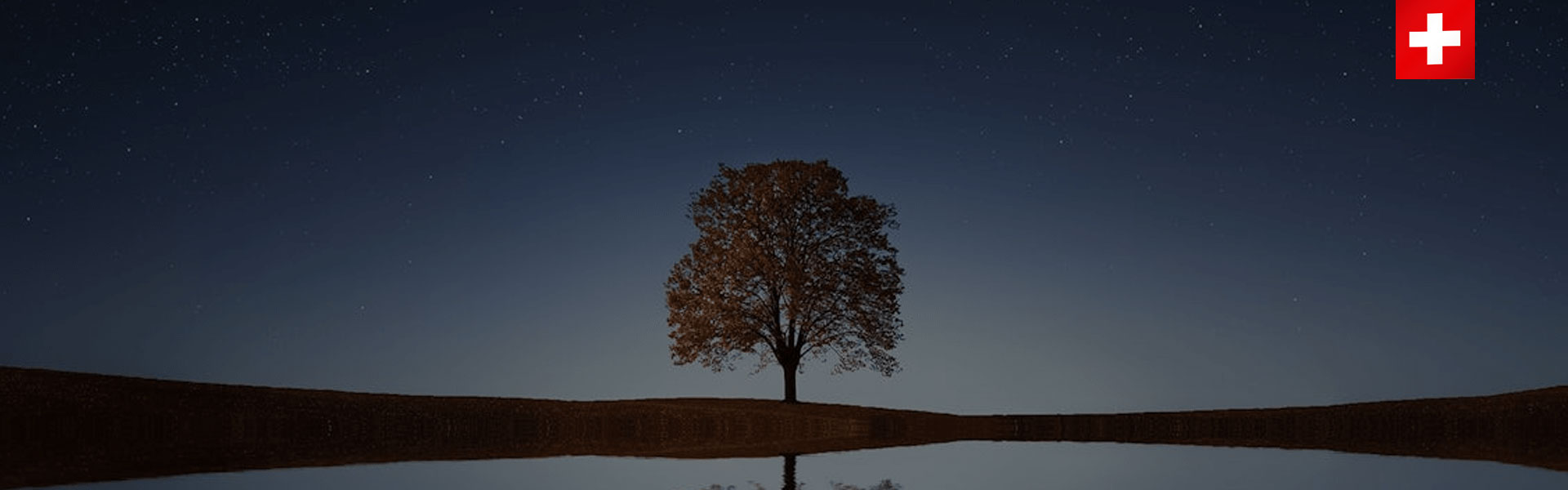 Développements Salesforce sur mesure à Genève — Applications, Mobile et Intégration