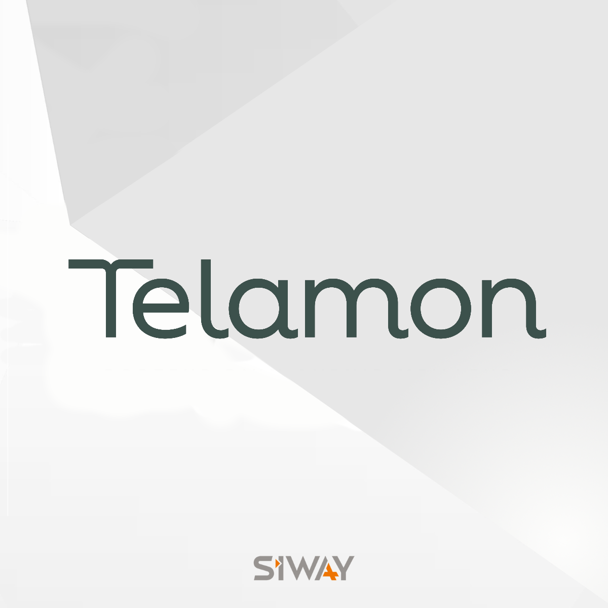 Mise en place d'un portail CGP pour Telamon