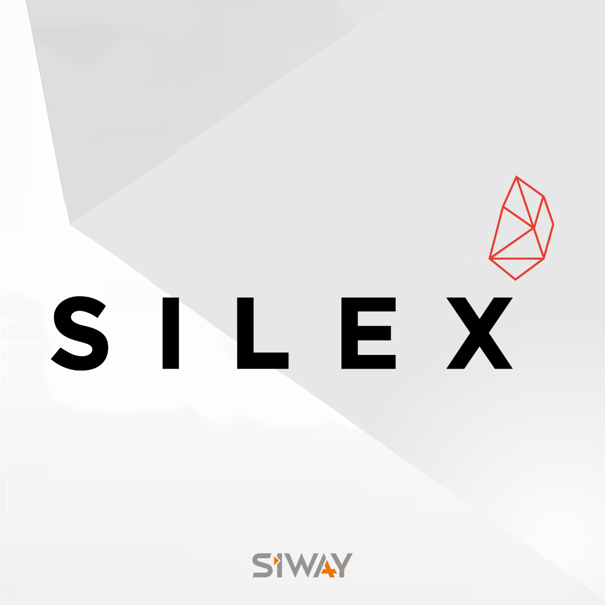 SILEX IM - SILEX IM