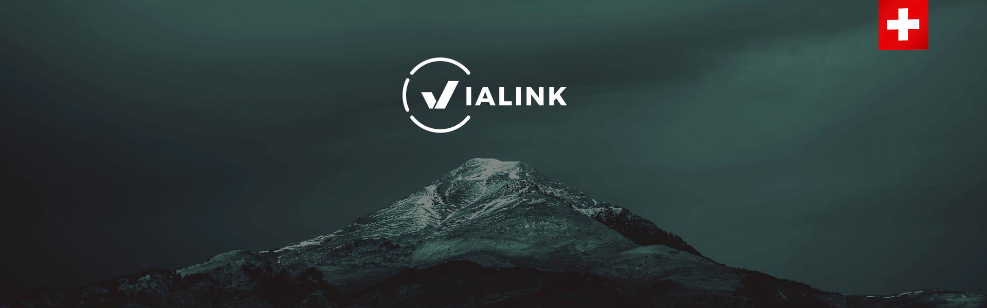 SIWAY PARTENAIRE VIALINK